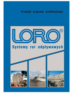 LORO-X Program outline