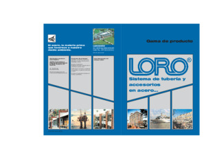 LORO-X Program outline